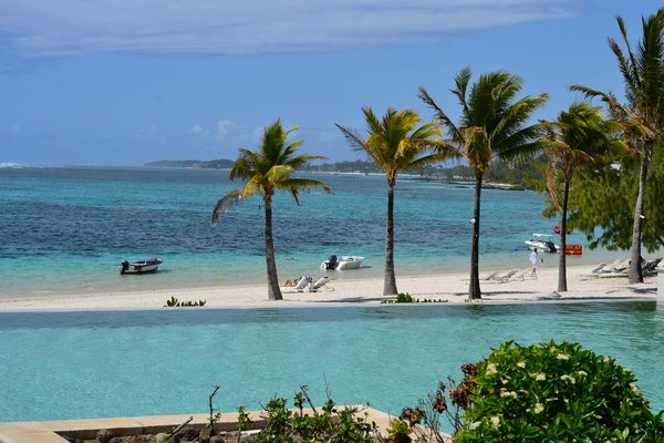 Quels sont les équipements indispensables pour un camping en région de forêts pluviales?