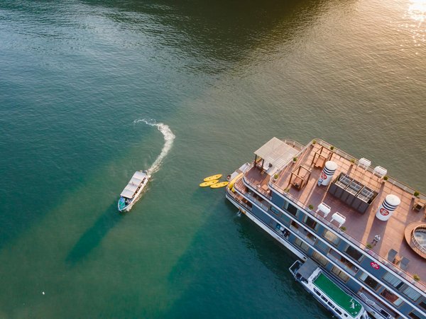 Quels sont les meilleurs spots pour la plongée en apnée dans la mer Rouge, Jordanie : conseils et équipements ?